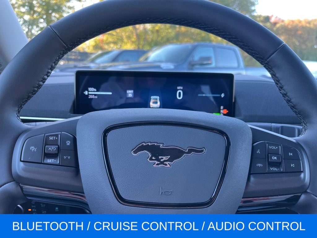 2025 Ford Mustang Mach-E Select